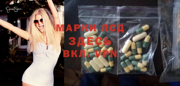 стаф Алзамай