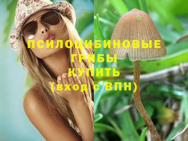 эйфоретик Алексеевка