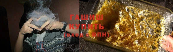 стаф Алзамай
